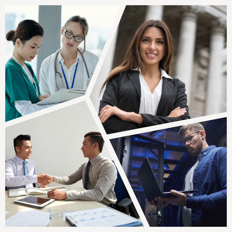 A group of professionals in a meeting